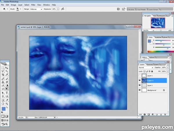 Creation of  face of winter : Step 2